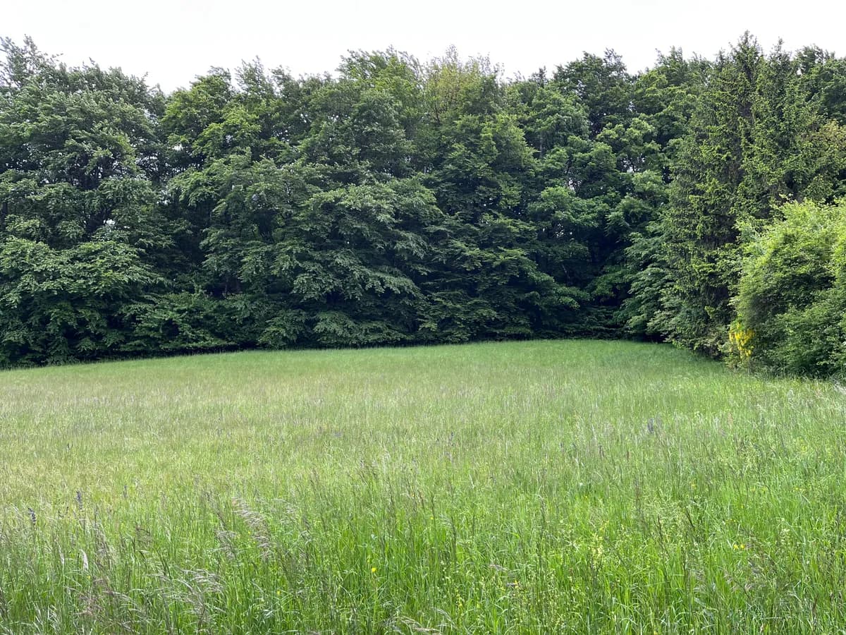 Grundstück kaufen in Mödling – 1 023 m², € 260.000 – Bild 3 von 5