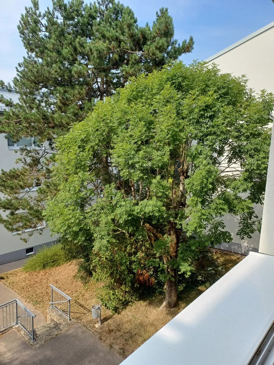2-Zimmer-Wohnung mieten in Wien – 55 m², € 998 – Bild 3 von 14