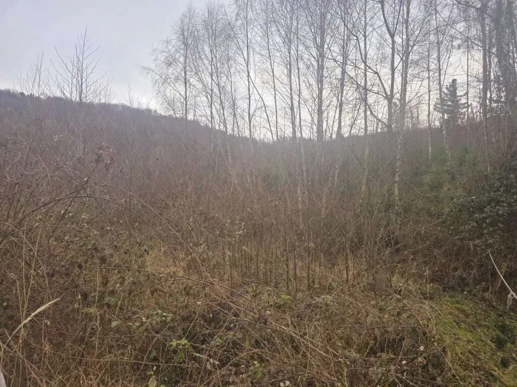 Grundstück kaufen in Sankt Pölten Land – 751 m², € 199.000 – Bild 3 von 3