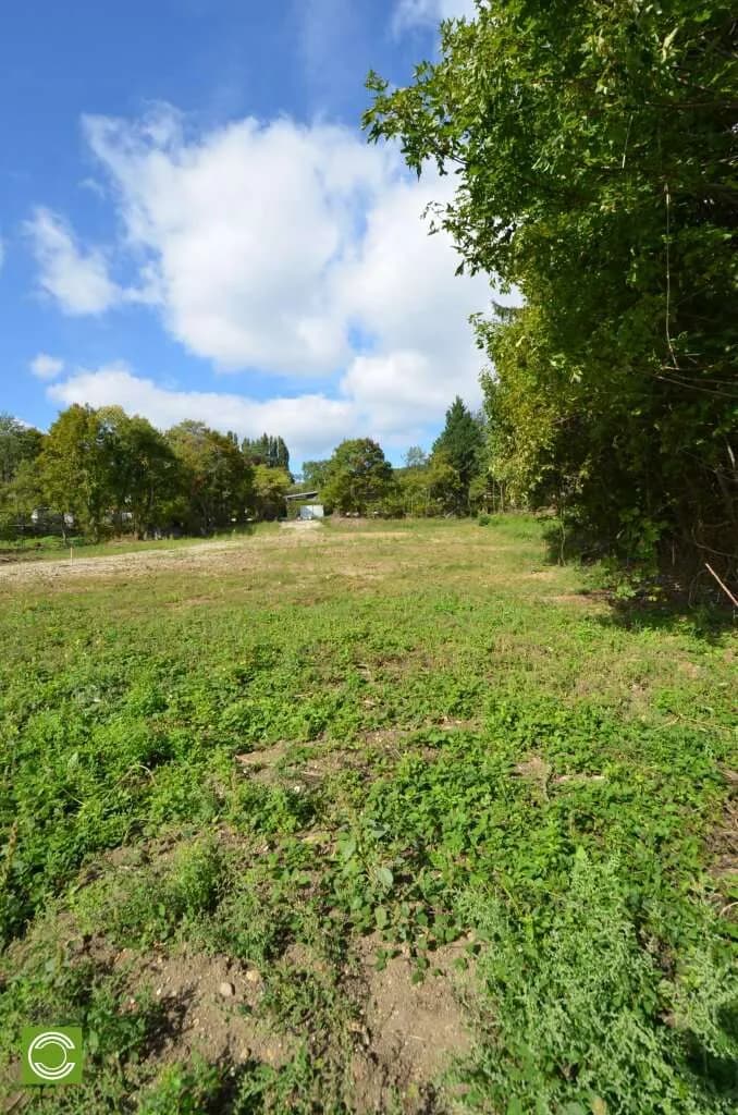Grundstück kaufen in Mödling – 2 420 m², € 2.305.650 – Bild 5 von 5