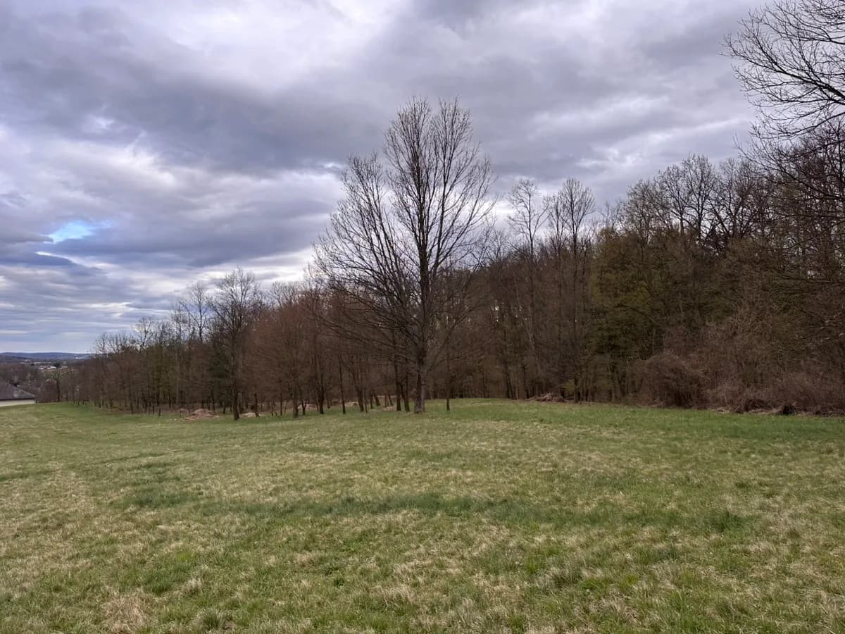 Grundstück kaufen in Oberwart – 6 546 m²