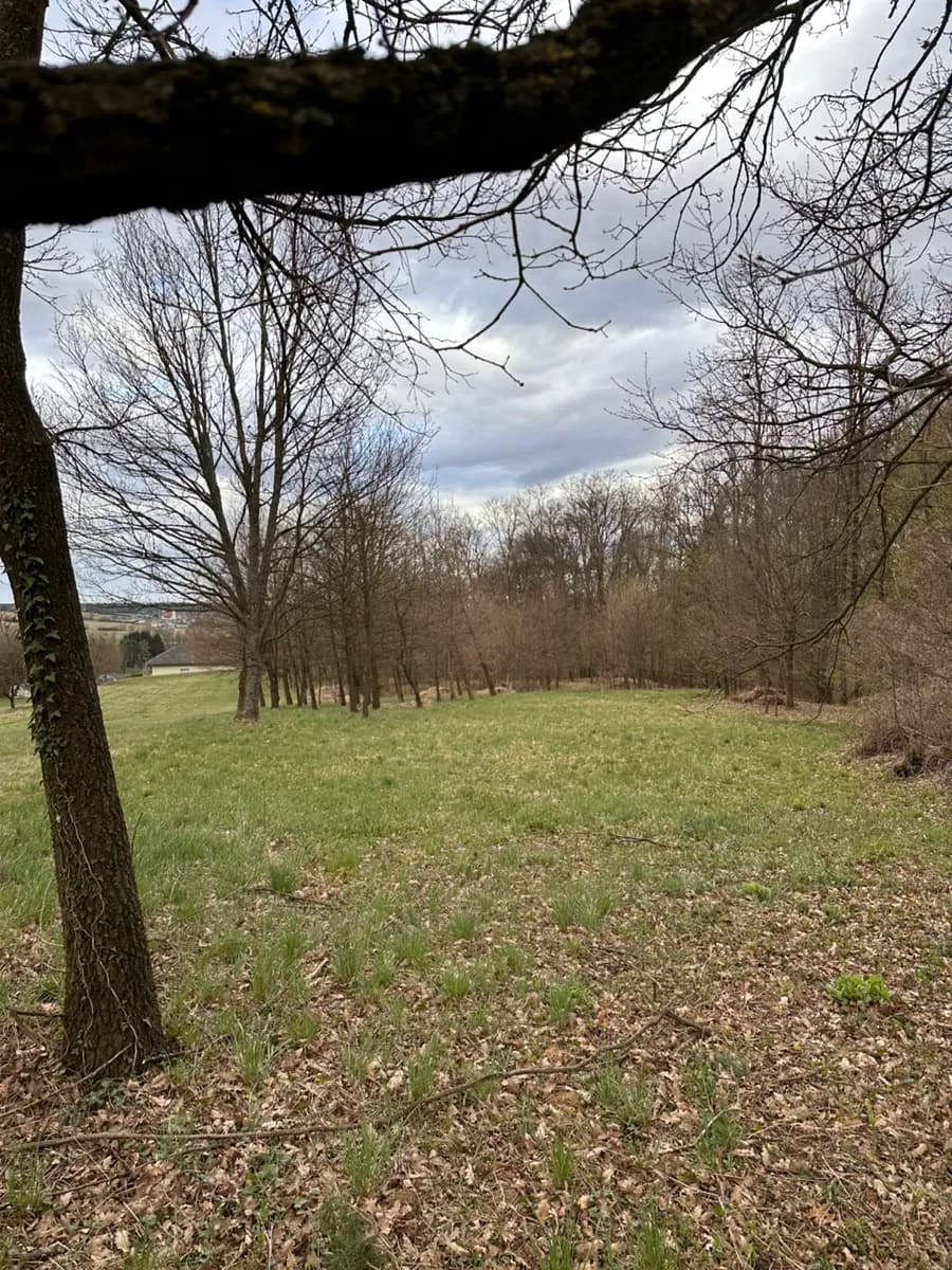 Grundstück kaufen in Oberwart – 6 546 m² – Bild 2 von 3