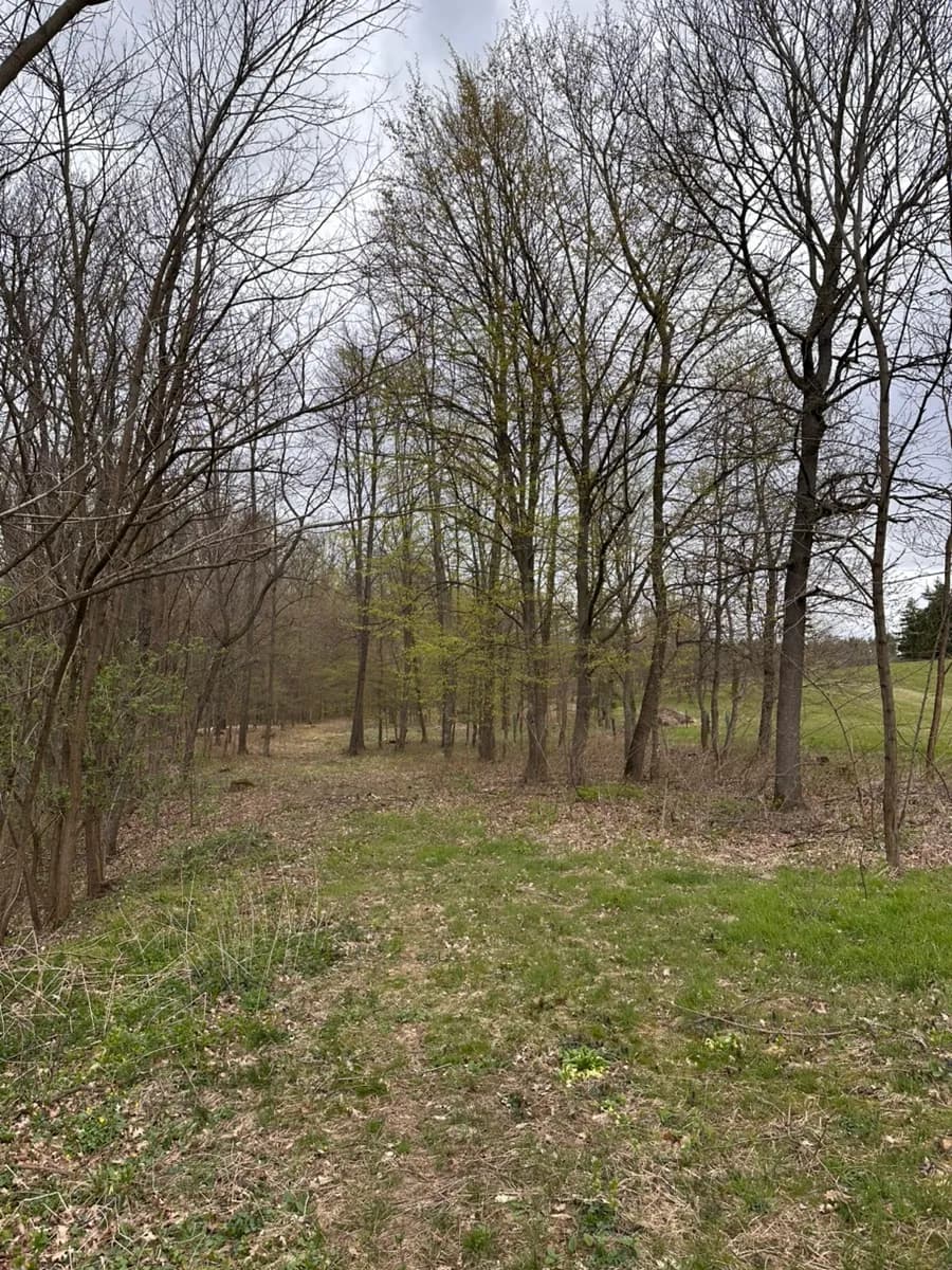 Grundstück kaufen in Oberwart – 6 546 m² – Bild 3 von 3
