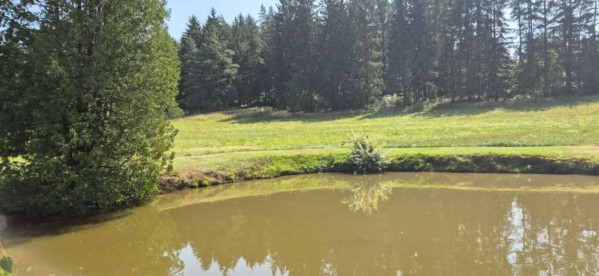 Immobilie kaufen in Gmünd – 180 m², € 419.000 – Bild 15 von 26