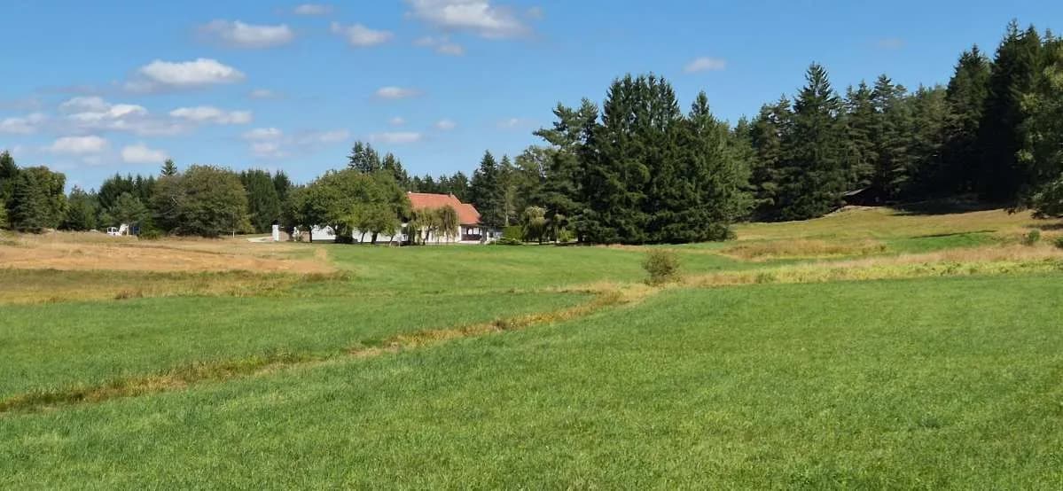 Immobilie kaufen in Gmünd – 180 m², € 419.000 – Bild 23 von 26