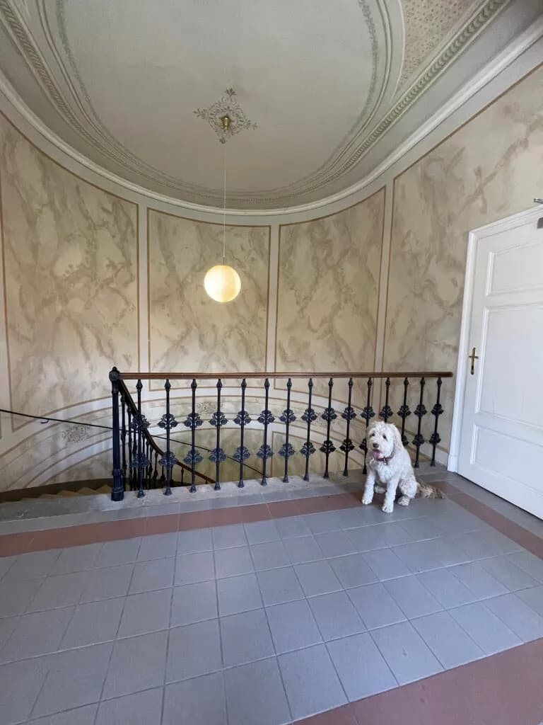 5-Zimmer-Wohnung kaufen in Baden – 151 m², € 990.000 – Bild 23 von 37