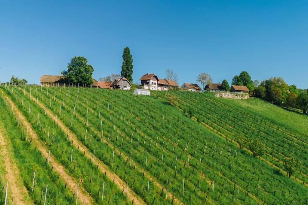 Grundstück kaufen in Österreich – 110 m², € 339.000 – Bild 9 von 33