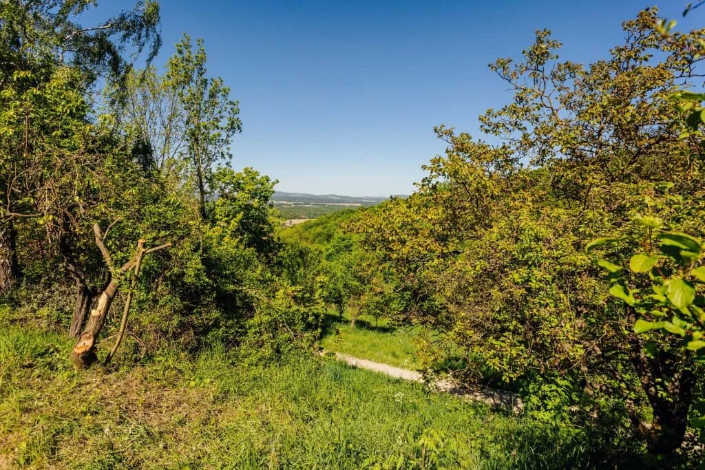 Grundstück kaufen in Österreich – 110 m², € 339.000 – Bild 15 von 33