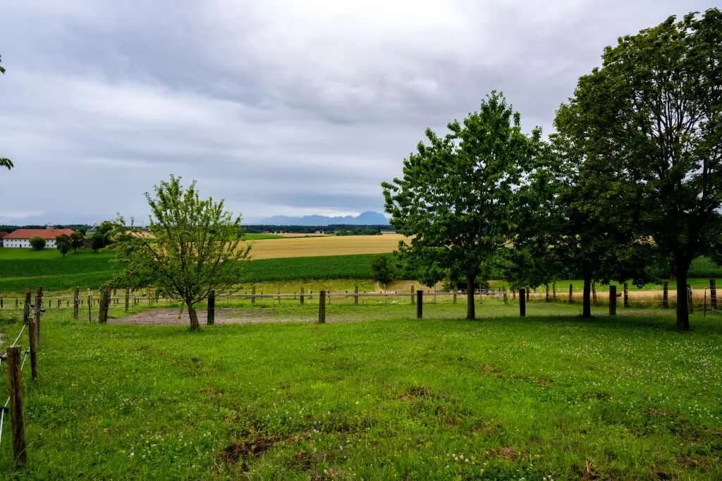 Grundstück kaufen in Wels-Land – 550 m² – Bild 3 von 31