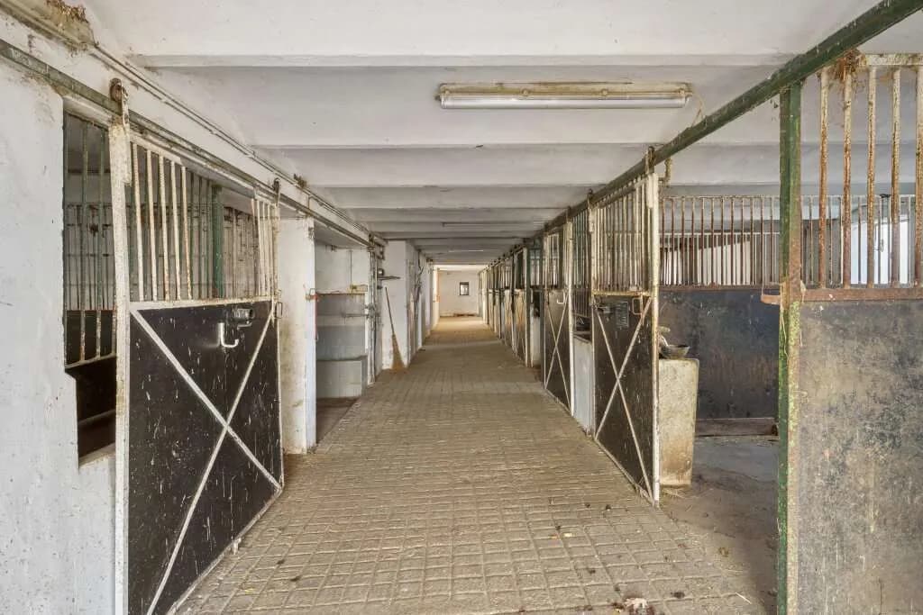 Grundstück kaufen in Wels-Land – 550 m² – Bild 14 von 31