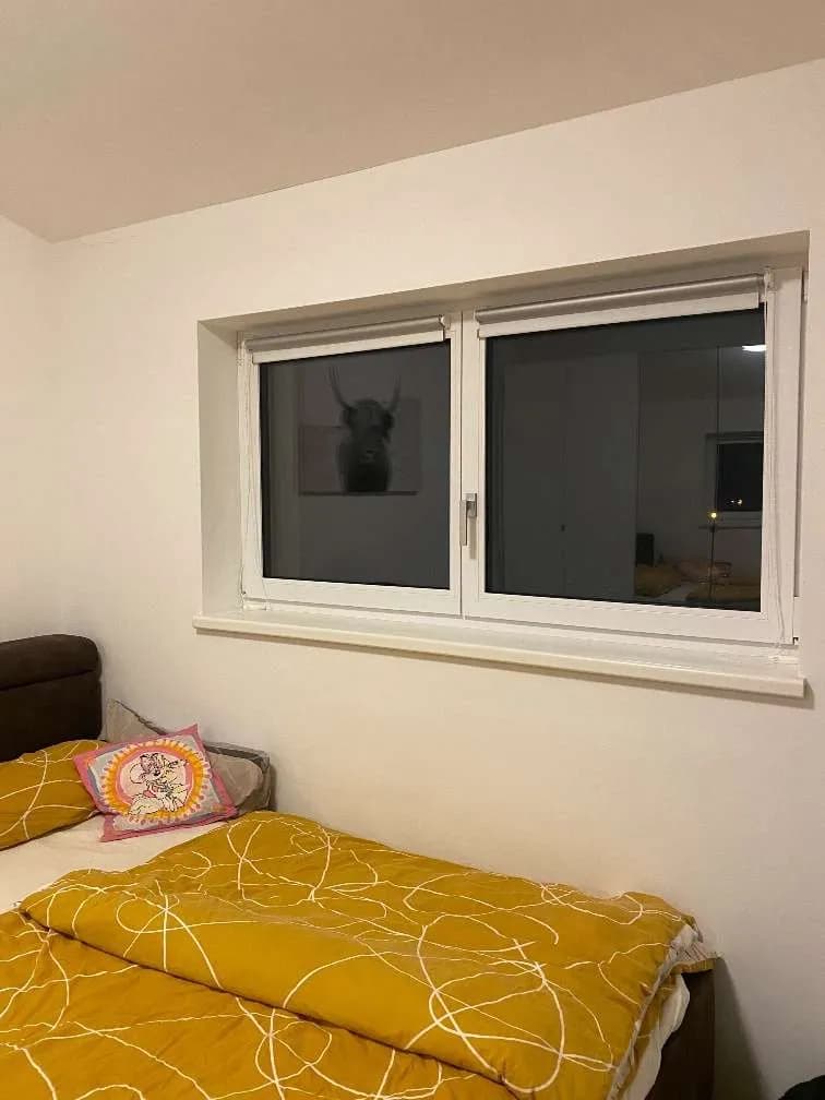 3-Zimmer-Wohnung mieten in Grieskirchen – 60 m², € 859 – Bild 9 von 18