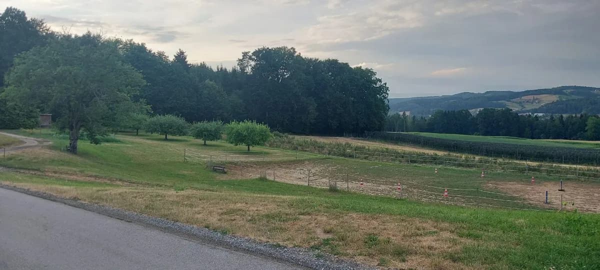 Grundstück kaufen in Hartberg-Fürstenfeld – 704 m², € 49.000 – Bild 3 von 6