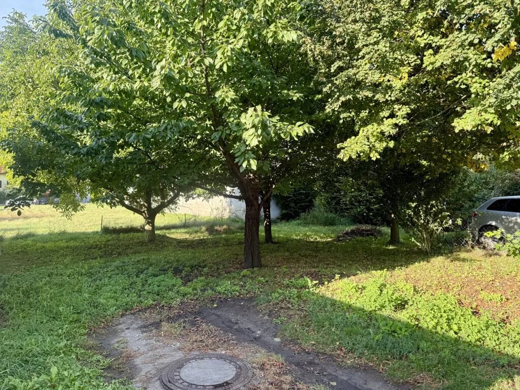 Grundstück kaufen in Eisenstadt - Umgebung – 851 m², € 179.000 – Bild 3 von 10