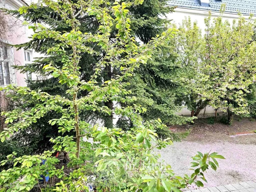 5-Zimmer-Wohnung mieten in Korneuburg – 166 m², € 1.787 – Bild 8 von 17