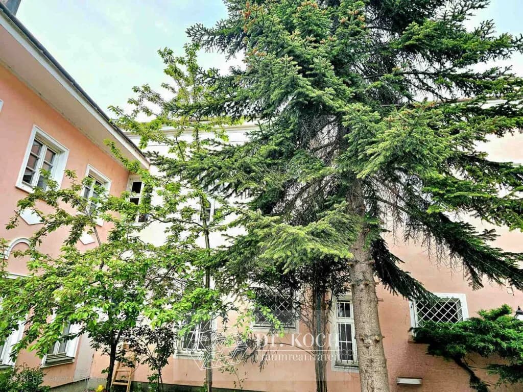 5-Zimmer-Wohnung mieten in Korneuburg – 166 m², € 1.787 – Bild 13 von 17