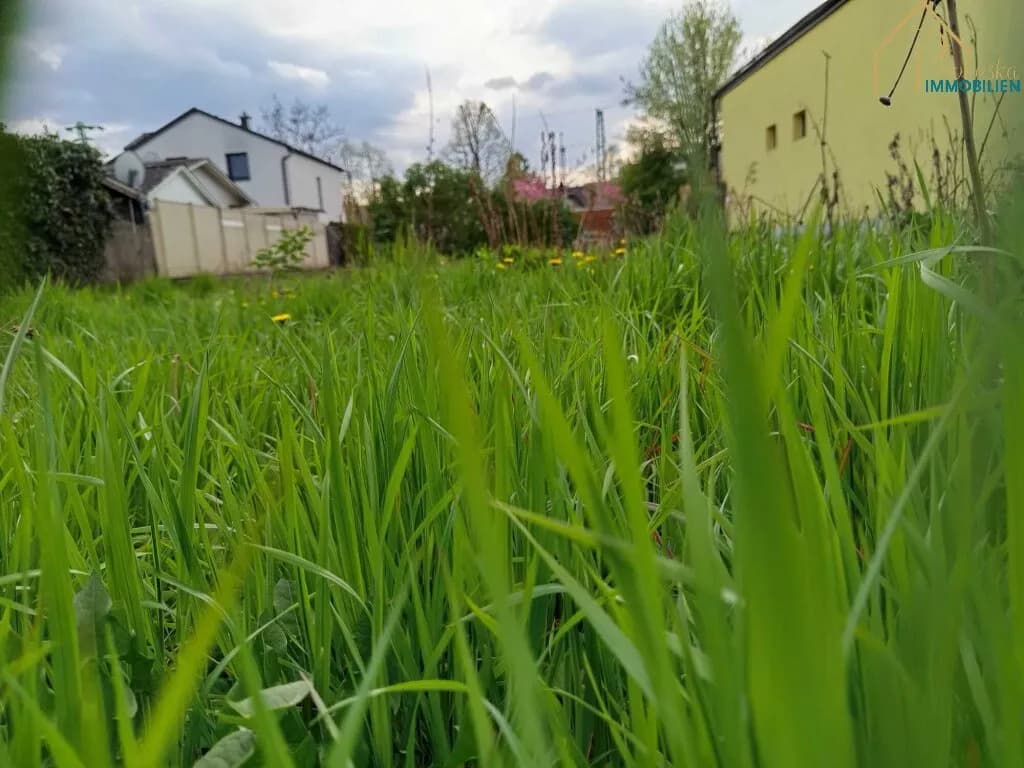 Grundstück mieten in Eisenstadt - Umgebung – 305 m², € 570 – Bild 3 von 6