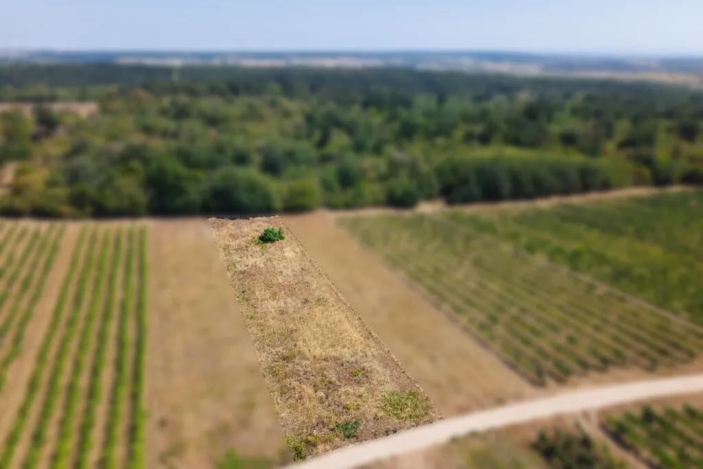 Grundstück kaufen in Gänserndorf – 1 611 m², € 9.666
