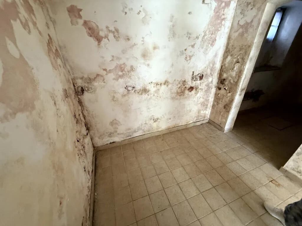 Haus kaufen in Waidhofen an der Ybbs – 180 m², € 190.000 – Bild 2 von 12