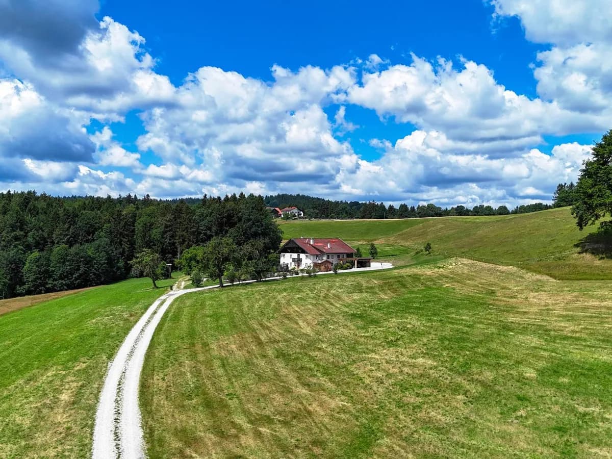 9-Zimmer-Immobilie kaufen in Ried im Innkreis – 243 m², € 1.850.000 – Bild 3 von 19