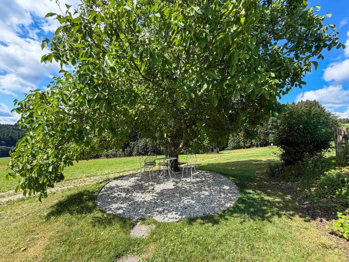 9-Zimmer-Immobilie kaufen in Ried im Innkreis – 243 m², € 1.850.000 – Bild 13 von 19