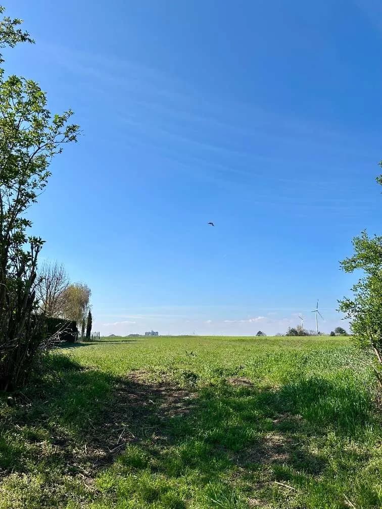 Grundstück kaufen in Neusiedl am See – 1 537 m², € 255.000 – Bild 3 von 8