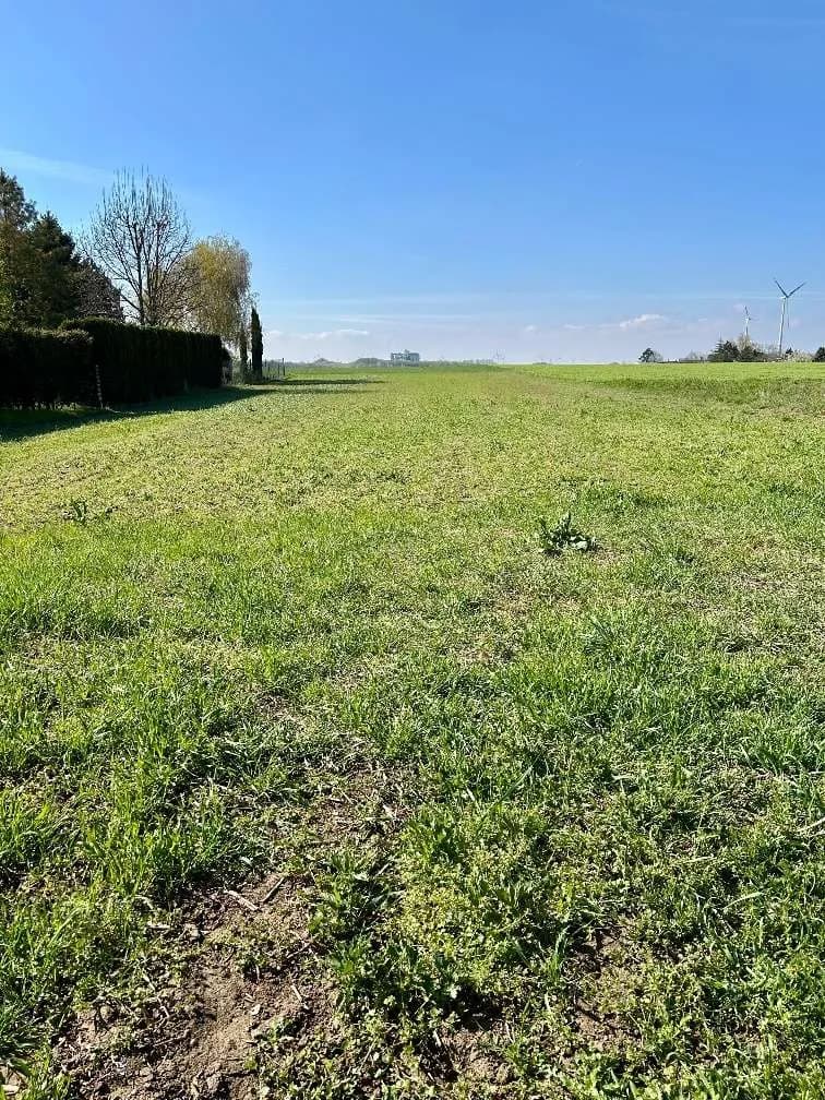 Grundstück kaufen in Neusiedl am See – 1 537 m², € 255.000 – Bild 5 von 8