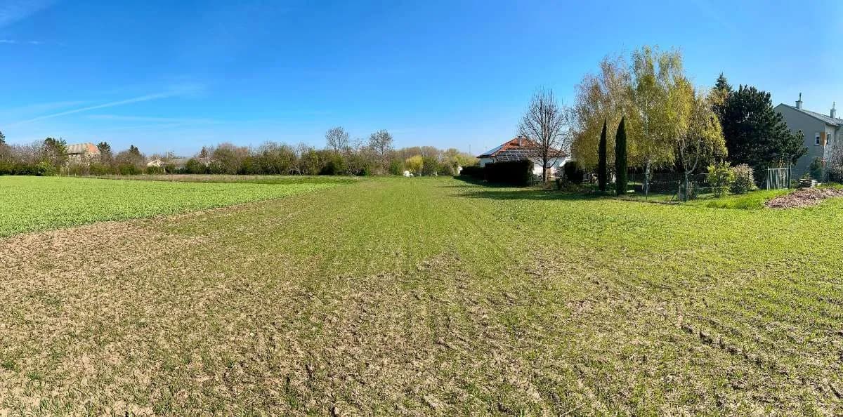 Grundstück kaufen in Neusiedl am See – 1 537 m², € 255.000 – Bild 6 von 8