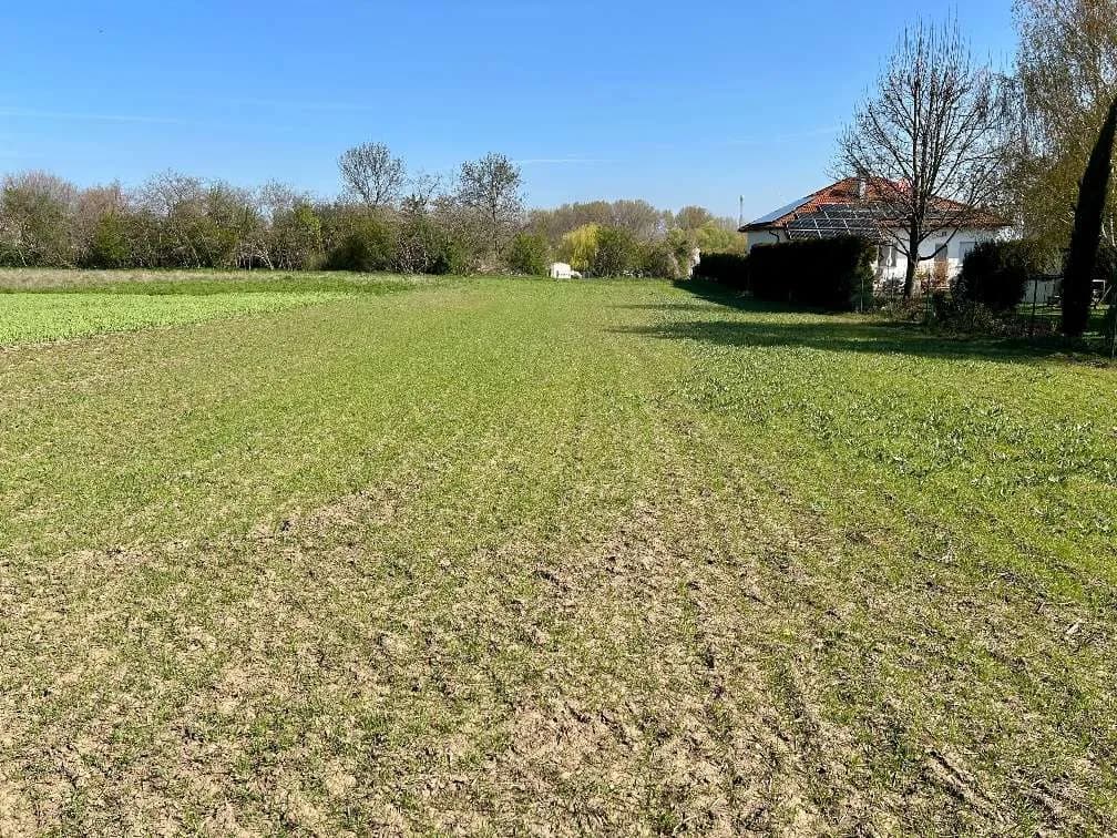 Grundstück kaufen in Neusiedl am See – 1 537 m², € 255.000 – Bild 7 von 8