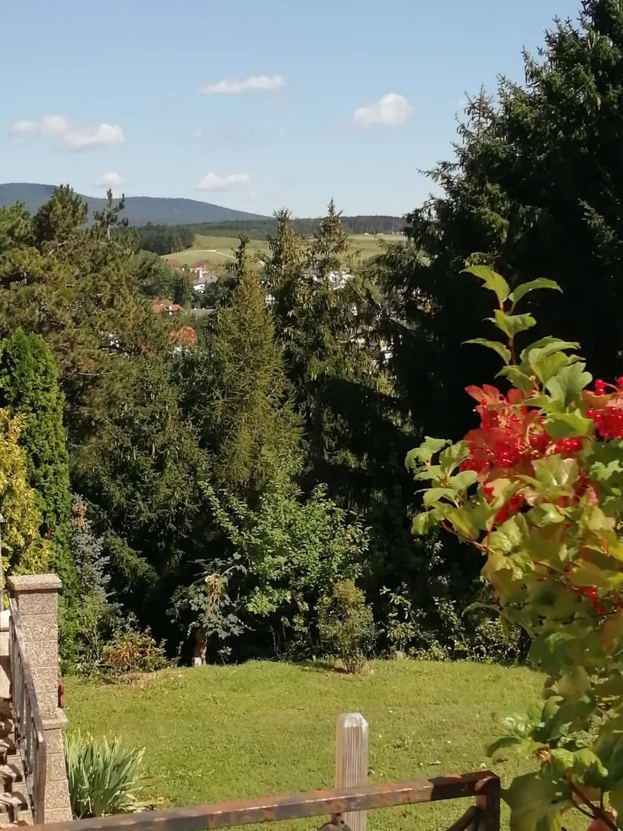 6-Zimmer-Haus kaufen in Baden – 221 m², € 490.000 – Bild 11 von 15