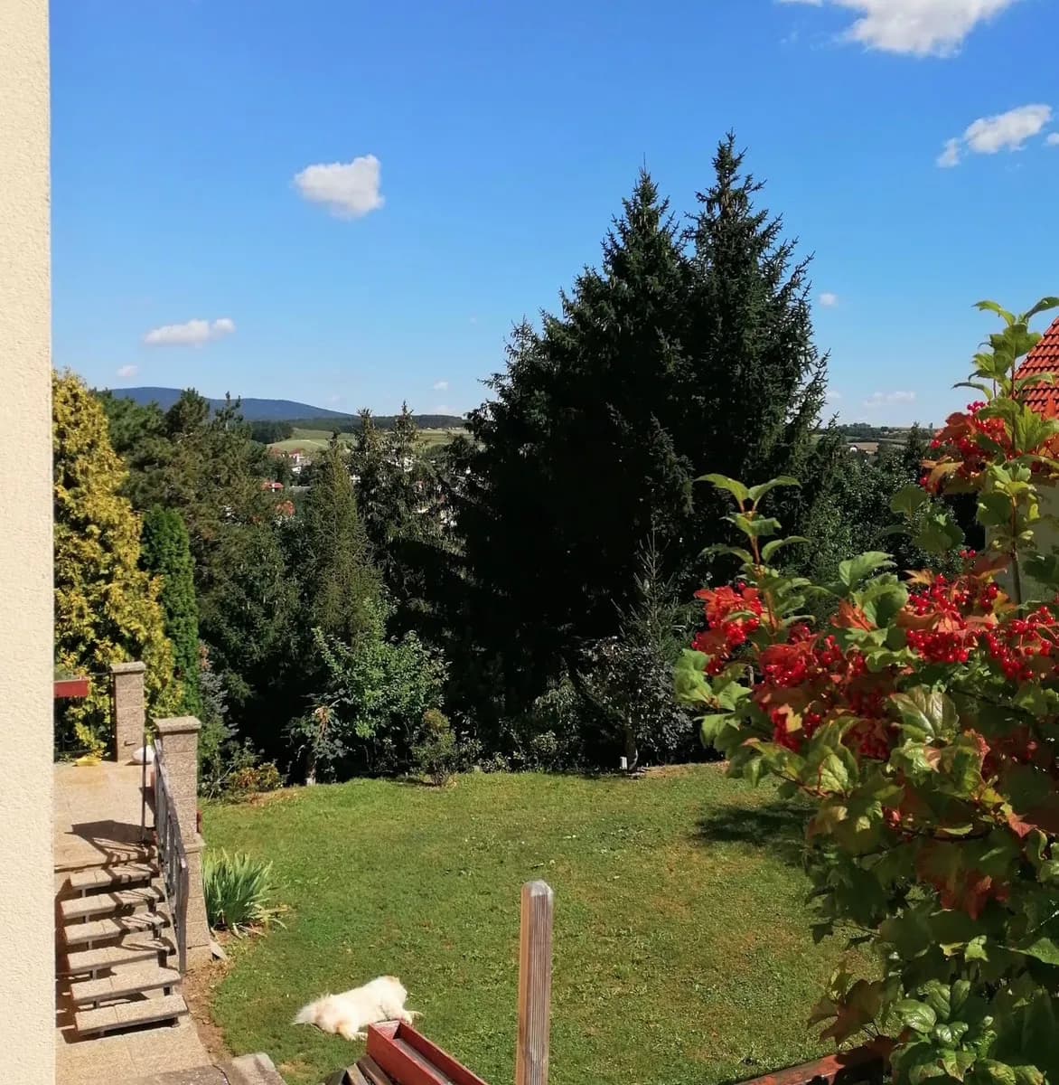6-Zimmer-Haus kaufen in Baden – 221 m², € 419.999 – Bild 13 von 40