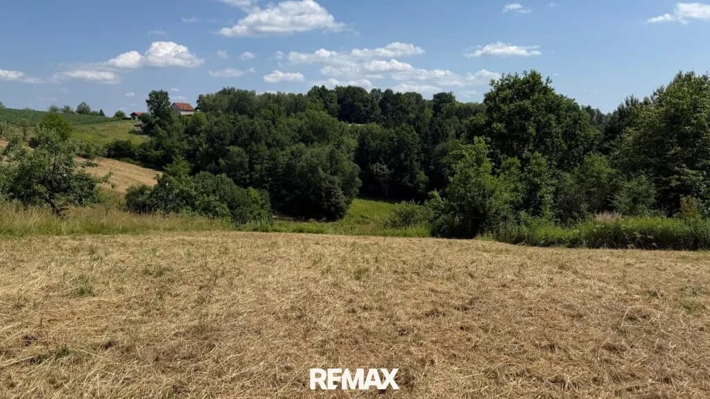 Grundstück kaufen in Güssing – 7 460 m², € 119.000 – Bild 2 von 6