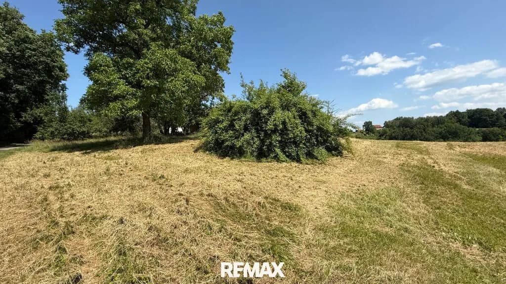 Grundstück kaufen in Güssing – 7 460 m², € 119.000 – Bild 5 von 6