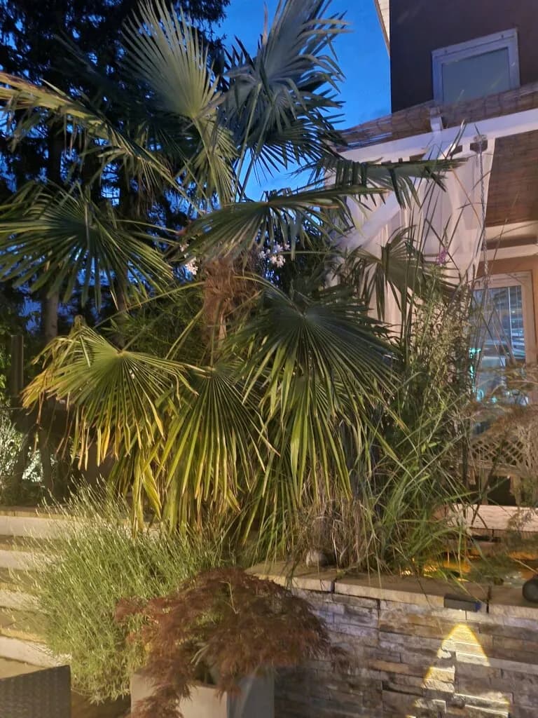 4-Zimmer-Haus kaufen in Baden – 180 m², € 1.190.000 – Bild 34 von 71