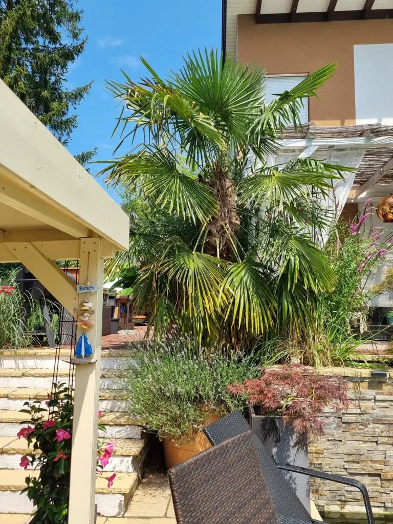 4-Zimmer-Haus kaufen in Baden – 180 m², € 1.190.000 – Bild 38 von 71