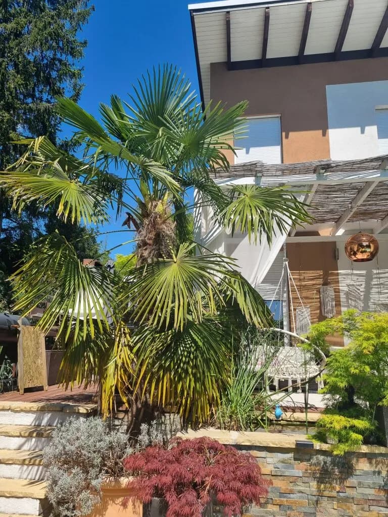 4-Zimmer-Haus kaufen in Baden – 180 m², € 1.190.000 – Bild 41 von 71