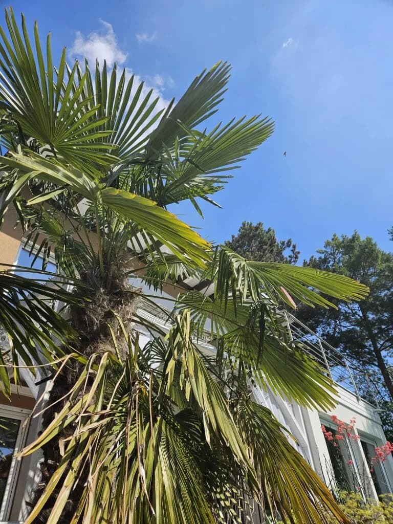 4-Zimmer-Haus kaufen in Baden – 180 m², € 1.190.000 – Bild 69 von 71