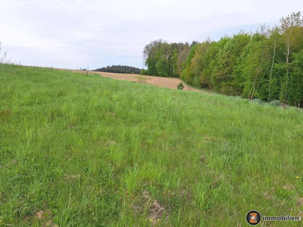 Grundstück kaufen in Oberwart – 3 222 m², € 99.000 – Bild 2 von 5
