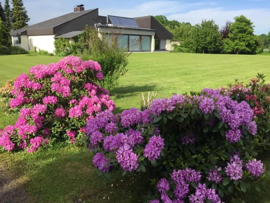 Grundstück kaufen in Wels-Land – 4 312 m², € 990.000 – Bild 12 von 23