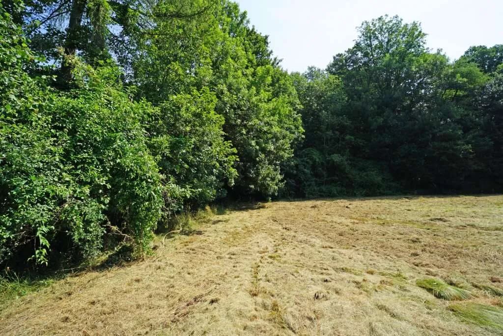 Grundstück kaufen in Sankt Pölten Land – 703 m², € 309.000 – Bild 3 von 9