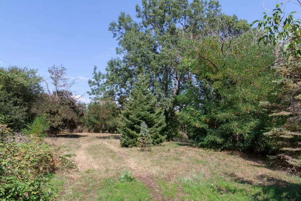 Grundstück kaufen in Neusiedl am See – 11 237 m², € 2.247.400 – Bild 2 von 11