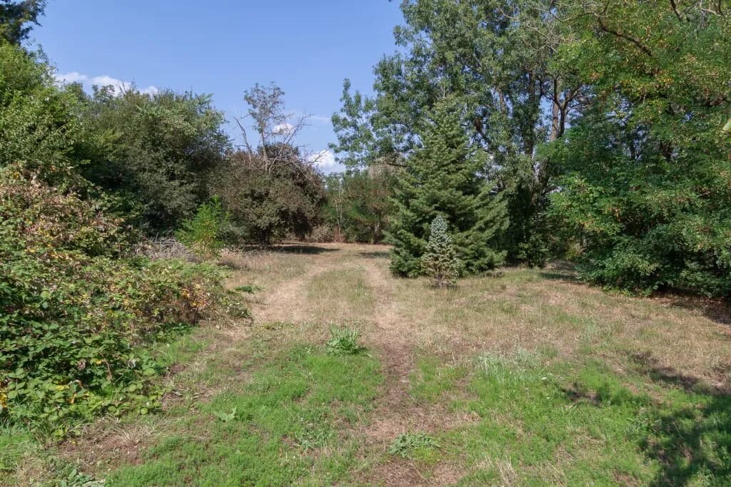 Grundstück kaufen in Neusiedl am See – 11 237 m², € 2.247.400 – Bild 3 von 11