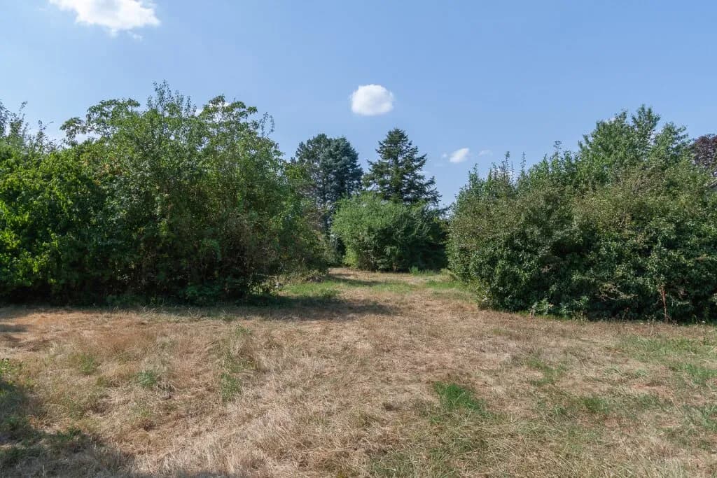 Grundstück kaufen in Neusiedl am See – 11 237 m², € 2.247.400 – Bild 4 von 11