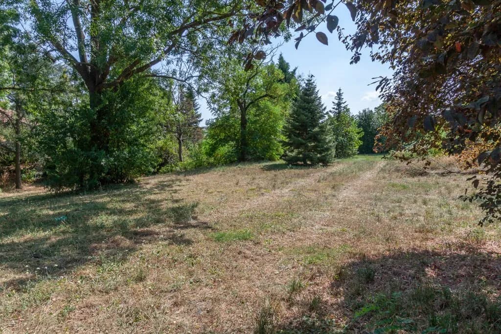 Grundstück kaufen in Neusiedl am See – 11 237 m², € 2.247.400 – Bild 5 von 11