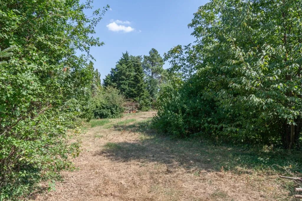 Grundstück kaufen in Neusiedl am See – 11 237 m², € 2.247.400 – Bild 6 von 11