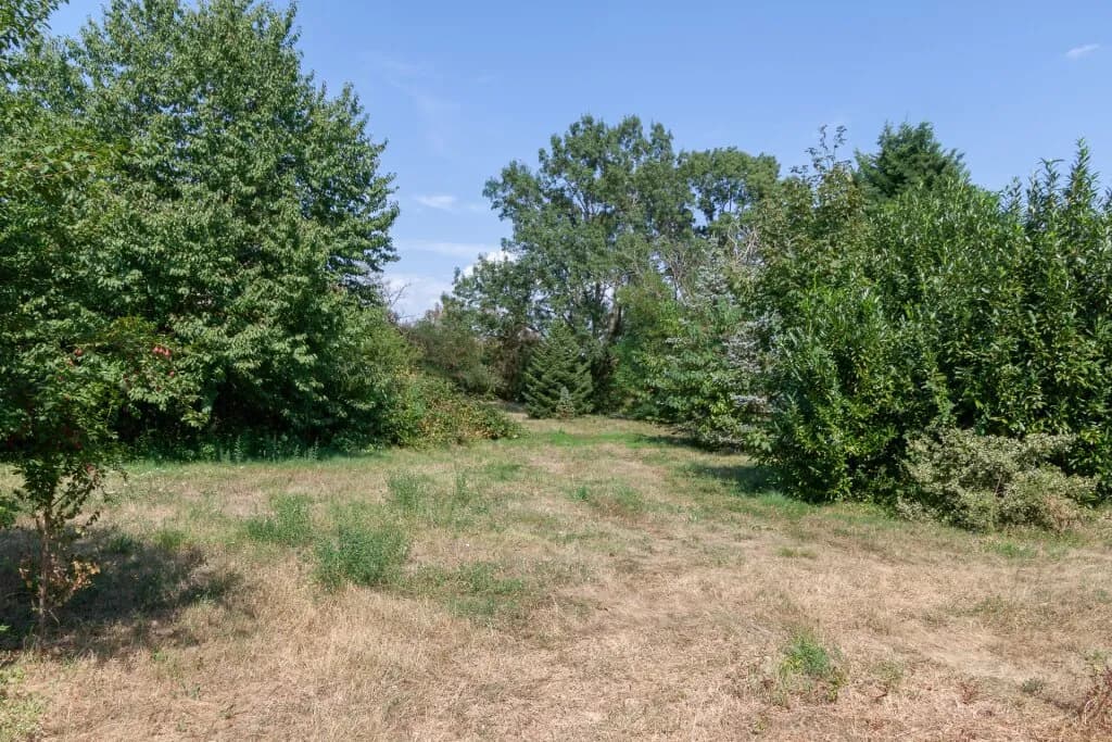 Grundstück kaufen in Neusiedl am See – 11 237 m², € 2.247.400 – Bild 7 von 11