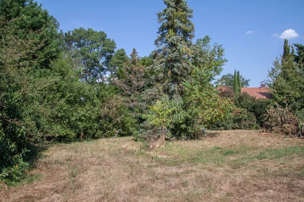Grundstück kaufen in Neusiedl am See – 11 237 m², € 2.247.400 – Bild 8 von 11