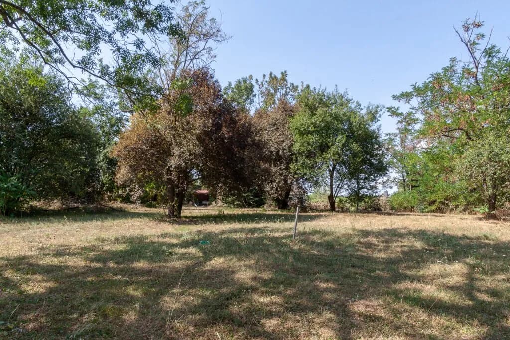 Grundstück kaufen in Neusiedl am See – 11 237 m², € 2.247.400 – Bild 11 von 11