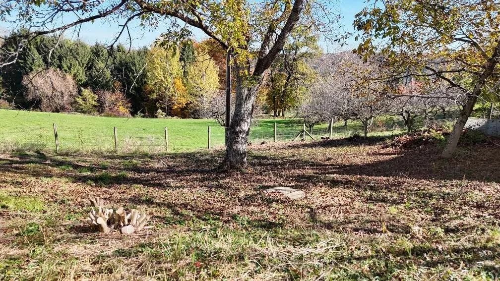 Grundstück kaufen in Graz-Umgebung – 1 332 m², € 155.000 – Bild 2 von 7