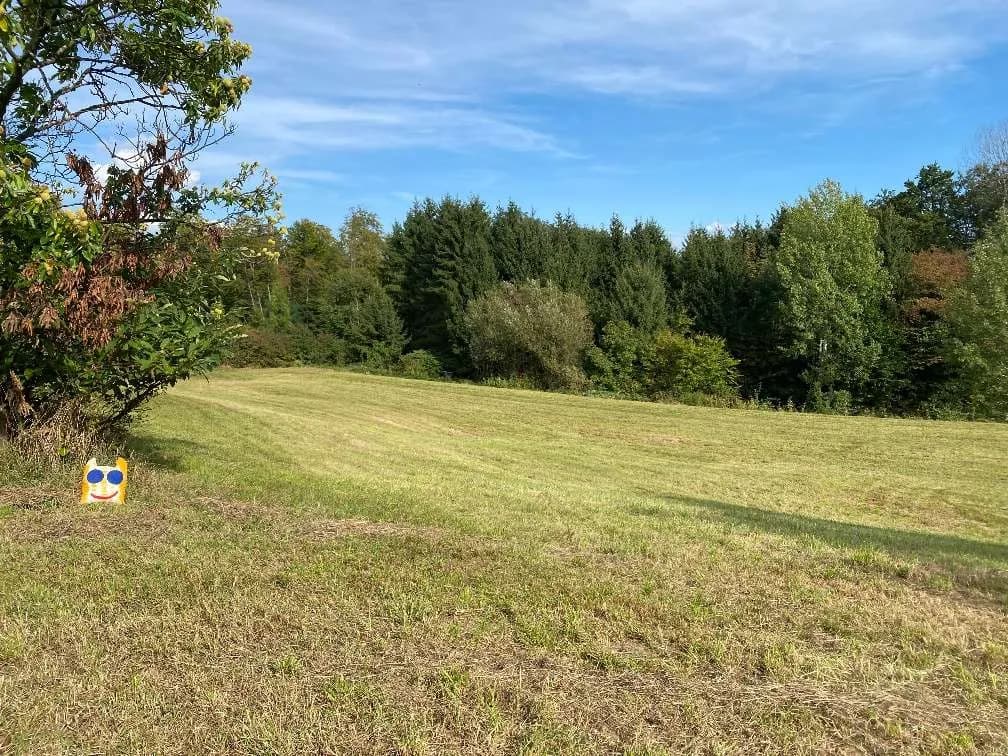 Grundstück kaufen in Graz-Umgebung – 1 332 m², € 155.000 – Bild 7 von 7
