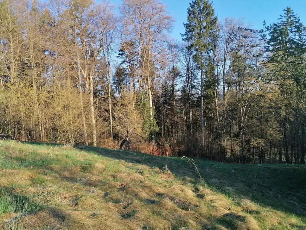 Haus kaufen in Leibnitz – 99,98 m², € 150.000 – Bild 5 von 8